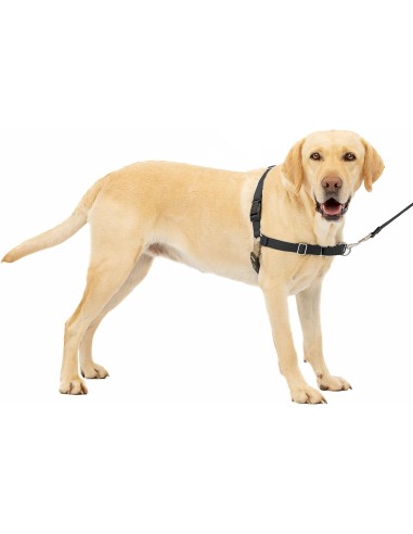 Easy Walk Pettorina Addestramento Misura Media . Collari e Guinzagli per cani