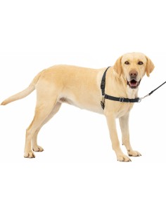 Easy Walk Pettorina Addestarmenti misura small-media. Collari e Guinzagli per cani.