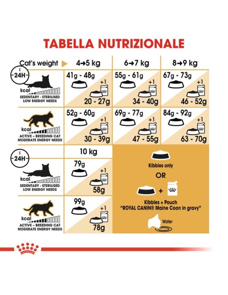 Maine Coon gr 400. Royal Canin . Cibo Secco Per Gatti