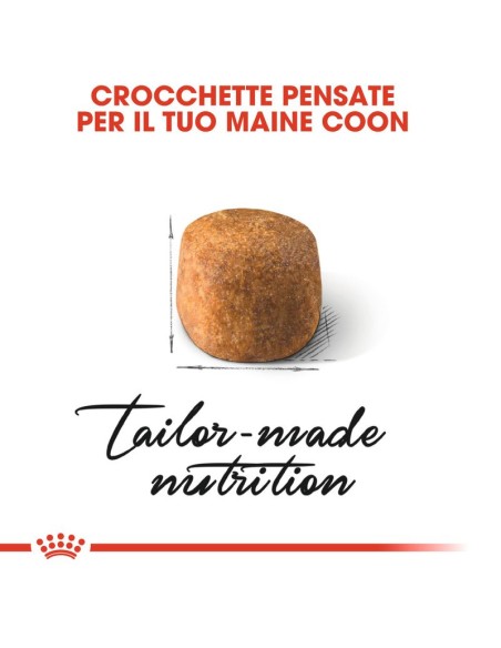 Maine Coon gr 400. Royal Canin . Cibo Secco Per Gatti