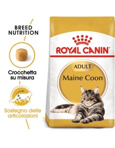 Maine Coon gr 400. Royal Canin . Cibo Secco Per Gatti