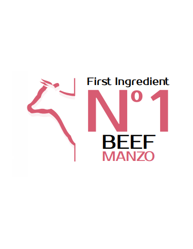 MONGE kitten 1-12M Manzo Gr.400. Cibo per cuccioli di gatto