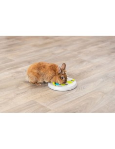 Flip Board Plastica . Giochi per Roditori .