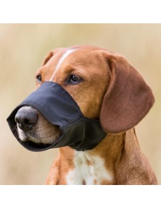 Muserola Nylon Misura 4. Trixie. Addestramento e Agility per cani .