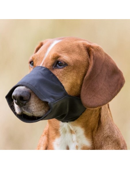 Muserola Nylon Misura 4. Trixie. Addestramento e Agility per cani .