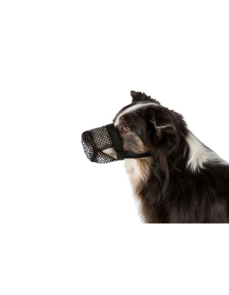 Museruola Contro Bocconi Avvelenati  misura xlarge . Accessori per cani .