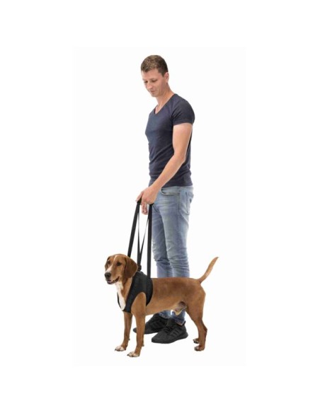 Imbracatura di Sostegno misura media. Accessori Medicali per cani