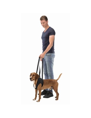 Imbracatura di Sostegno misura media. Accessori Medicali per cani.