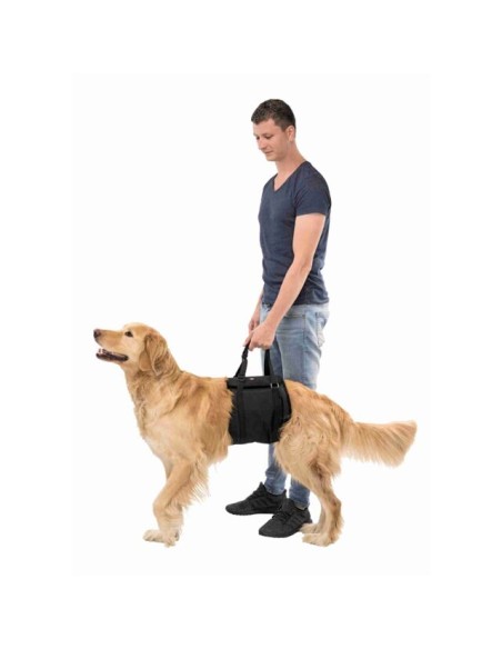 imbragatura a fascia misura large . Accessori Medicali per cani.