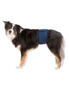 Fascia Igienica Per Cani Maschi taglia media. Accessori per cani.