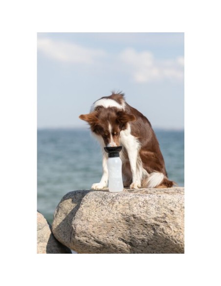 Bottiglia con Ciotola Per L'acqua ml 550. Ciotole per cani.