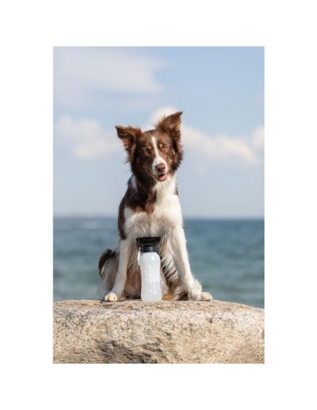 Bottiglia con Ciotola Per L'acqua ml 550. Ciotole per cani.