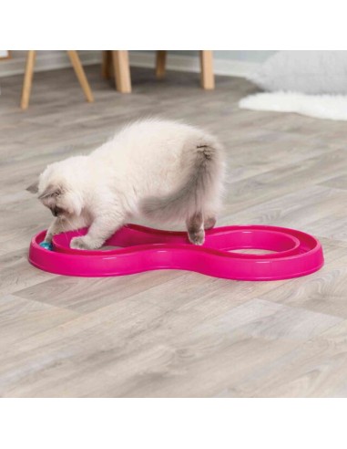 Gioco Gatto Flashing Ball Race . Giochi per gatti