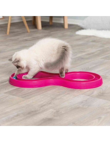 Gioco Gatto Flashing Ball Race . Giochi per gatti