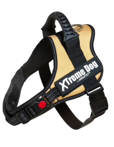 Pettorina Extreme Dog taglia xxlarge  Caramello. Arquivet . Collari e Guinzagli per cani.