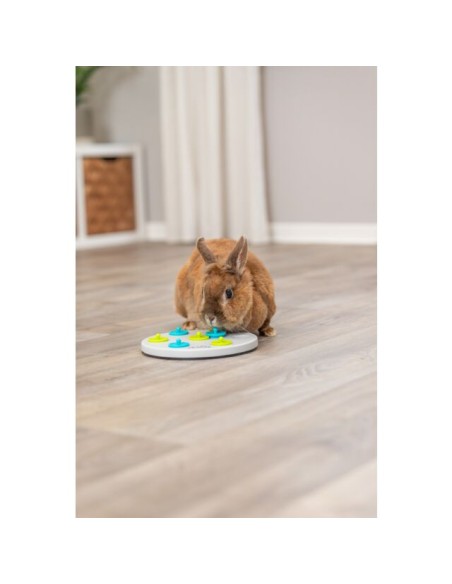 Snack Board Plastica. Giochi per Roditori