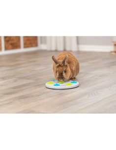 Snack Board Plastica. Giochi per Roditori