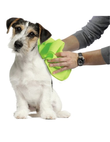 Panno Magico Per Cani e Gatti 66x43 cm . Toelettatura per cani.