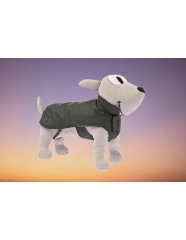 Impermeabile Rugiada 43 cm Verde. Abbigliamento per cani .