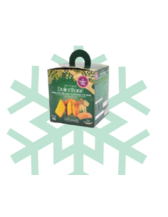 Dolcettone Panettone Per Cani Salmone gr 80. Snack per cani. 2