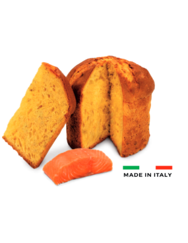 Dolcettone Panettone Per Cani Salmone gr 80. Snack per cani.