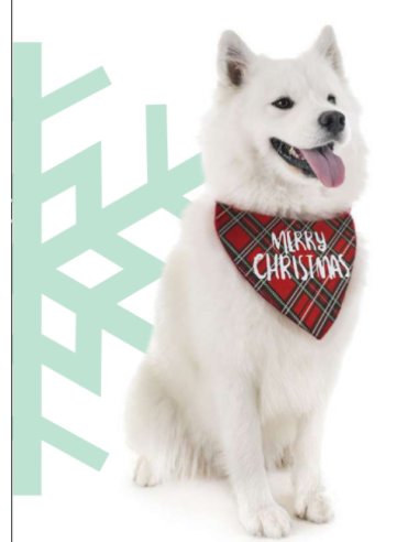 Bandana Natalizia . Abbigliamento per cani