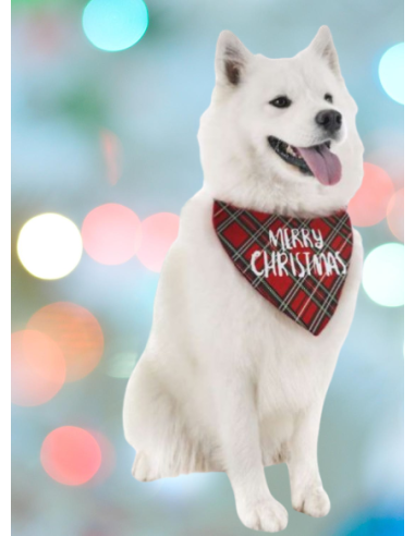 Bandana Natalizia . Abbigliamento per cani