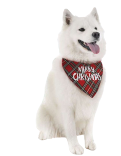 Bandana Natalizia . Abbigliamento per cani