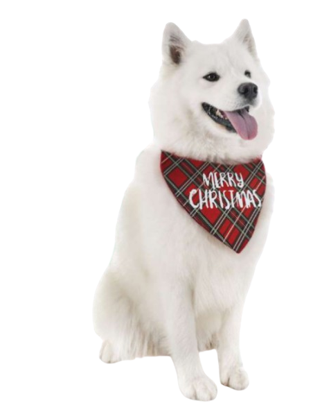 Bandana Natalizia . Abbigliamento per cani