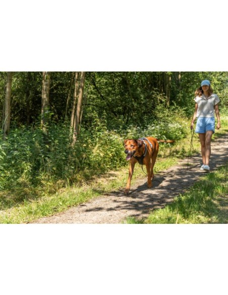 Pettorina Premium Active misura Large  69-87 CM/25 mm Petrolio.Collari e Guinzagli per Cani