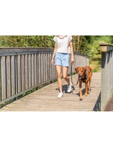 Pettorina Premium Active misura Large  69-87 CM/25 mm Petrolio.Collari e Guinzagli per Cani