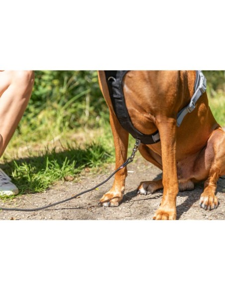 Pettorina Premium Active misura Large  69-87 CM/25 mm Petrolio.Collari e Guinzagli per Cani