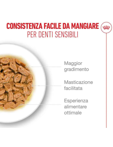 Ageing 11+ Gravy Gr.85. Cibo Umido Per Gatti.