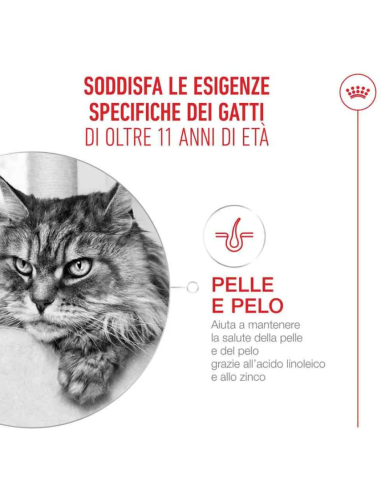 Ageing 11+ Gravy Gr.85. Cibo Umido Per Gatti.