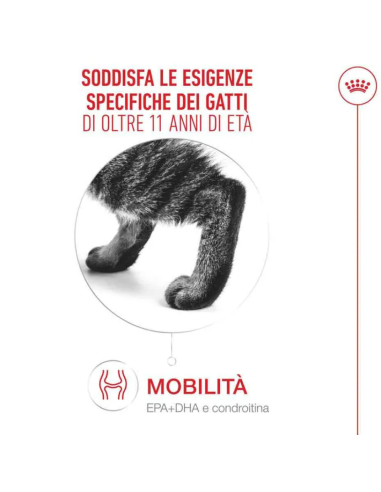 Ageing 11+ Gravy Gr.85. Cibo Umido Per Gatti.