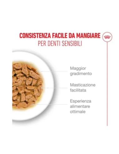 Ageing 15+ Gravy GR.85. Cibo Umido per gatti.