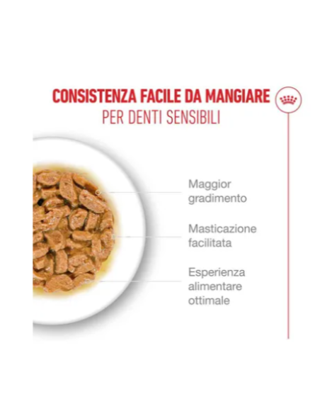 Ageing 15+ Gravy GR.85. Cibo Umido per gatti. Ageing 15+ Gravy GR.85. Cibo Umido per gatti.