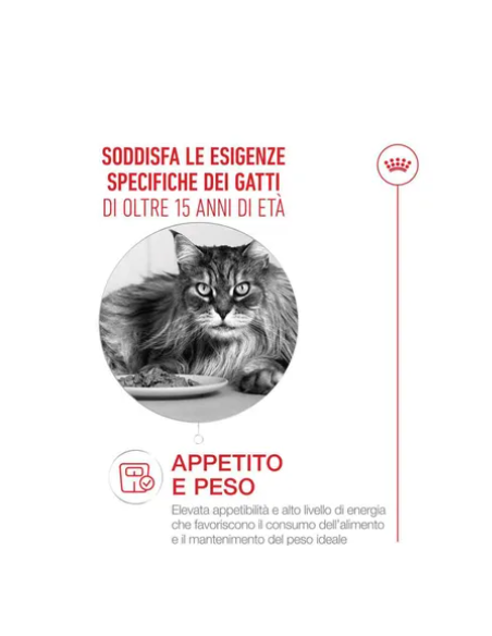 Ageing 15+ Gravy GR.85. Cibo Umido per gatti. Ageing 15+ Gravy GR.85. Cibo Umido per gatti.