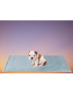 Tappetino Natalya 90x60 Blu ghiaccio. Cucce e Lettini per cani . 2