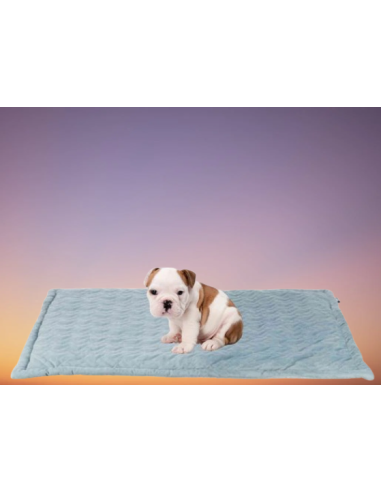 Tappetino Natalya 90x60 Blu ghiaccio. Cucce e Lettini per cani .