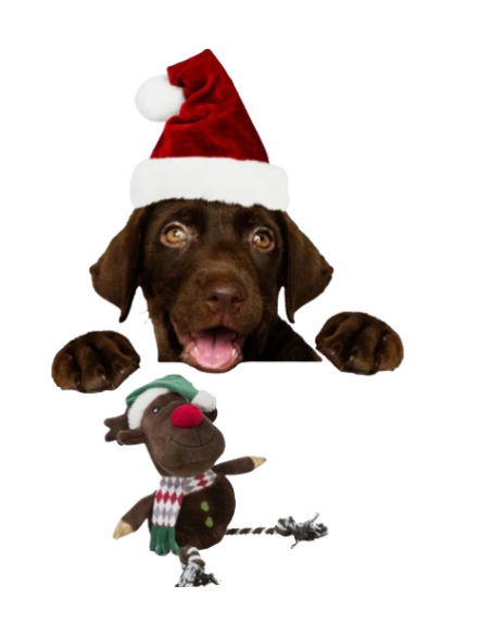 Renna Peluche con Corda cm 49. Giochi per cani.