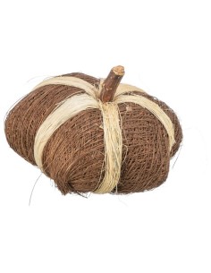 Gioco Zucca In Noce Di Cocco . Gioco per Roditori . 2