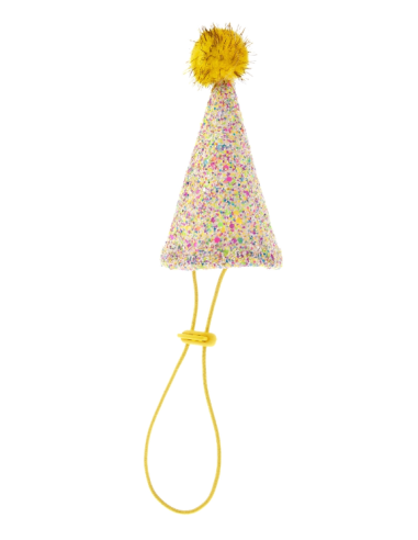 Cappellino e Papillon Party . Abbigliamento per cani.