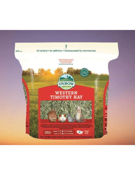 Fieno Wester Timothy 1,130 kg . Fieno