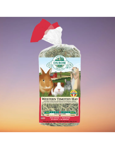 Fieno Western Timothy gr 425. Fieno.