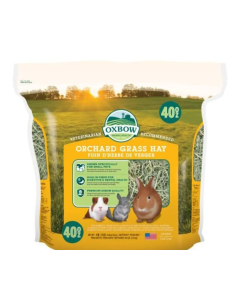 Fieno Orchad Grass Hay kg 1,130. Fieno .