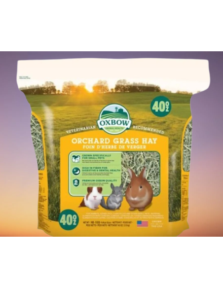 Fieno Orchad Grass Hay kg 1,130. Fieno .