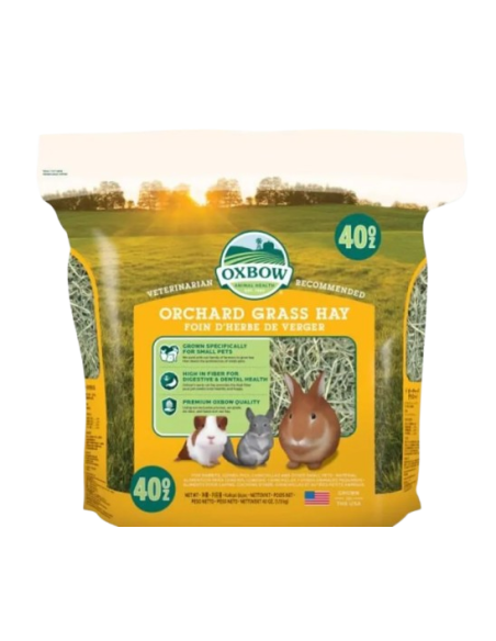 Fieno Orchad Grass Hay kg 1,130. Fieno .