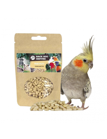 Pine nuts 50 gr. Mangime per Uccelli e roditori