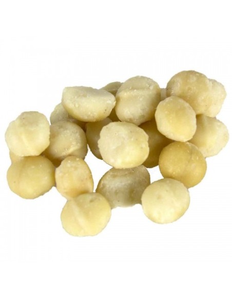 Macadamia Nuts gr 50. Snack per Uccelli